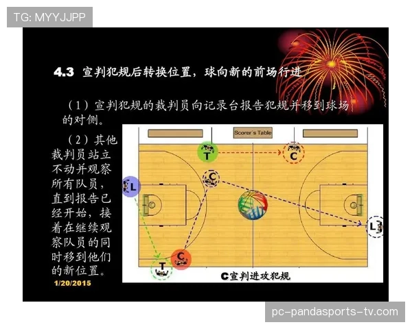 犯规种类与裁判判罚要点及常见场景解析